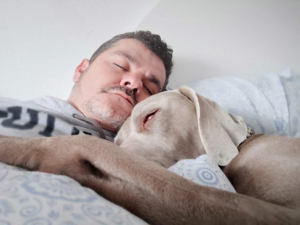 Henkilö nukkuu vaalea iso koira vieressään.