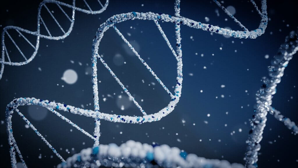 3D-mallinnos DNA-kierteestä.