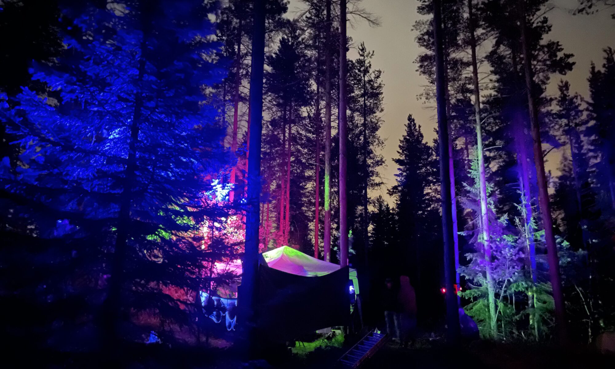 Neonväreillä valaistu öinen metsä.
