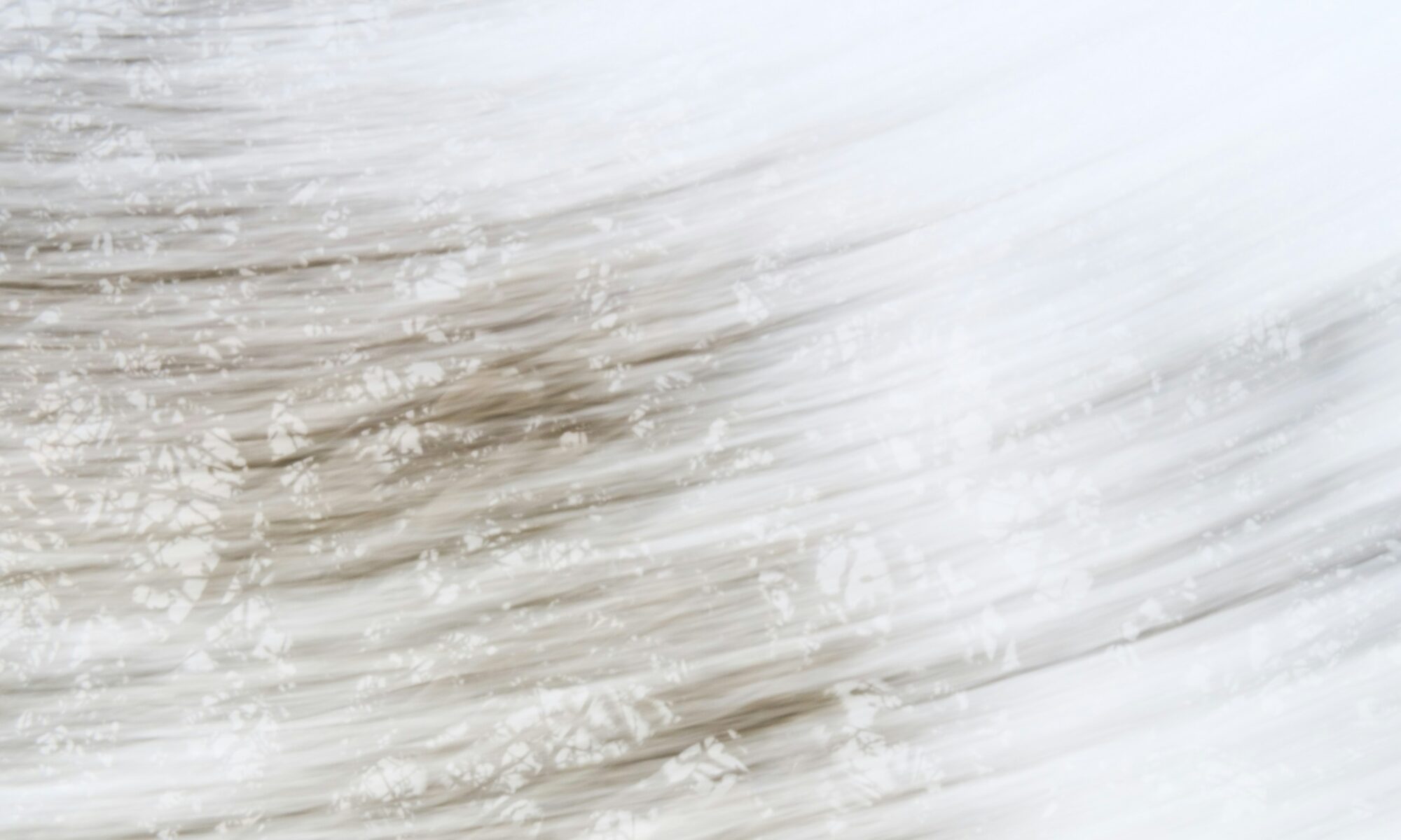 Abstraktisti kuvattu, "liikkuva" kuva, josta erottaa puun taivasta vasten.