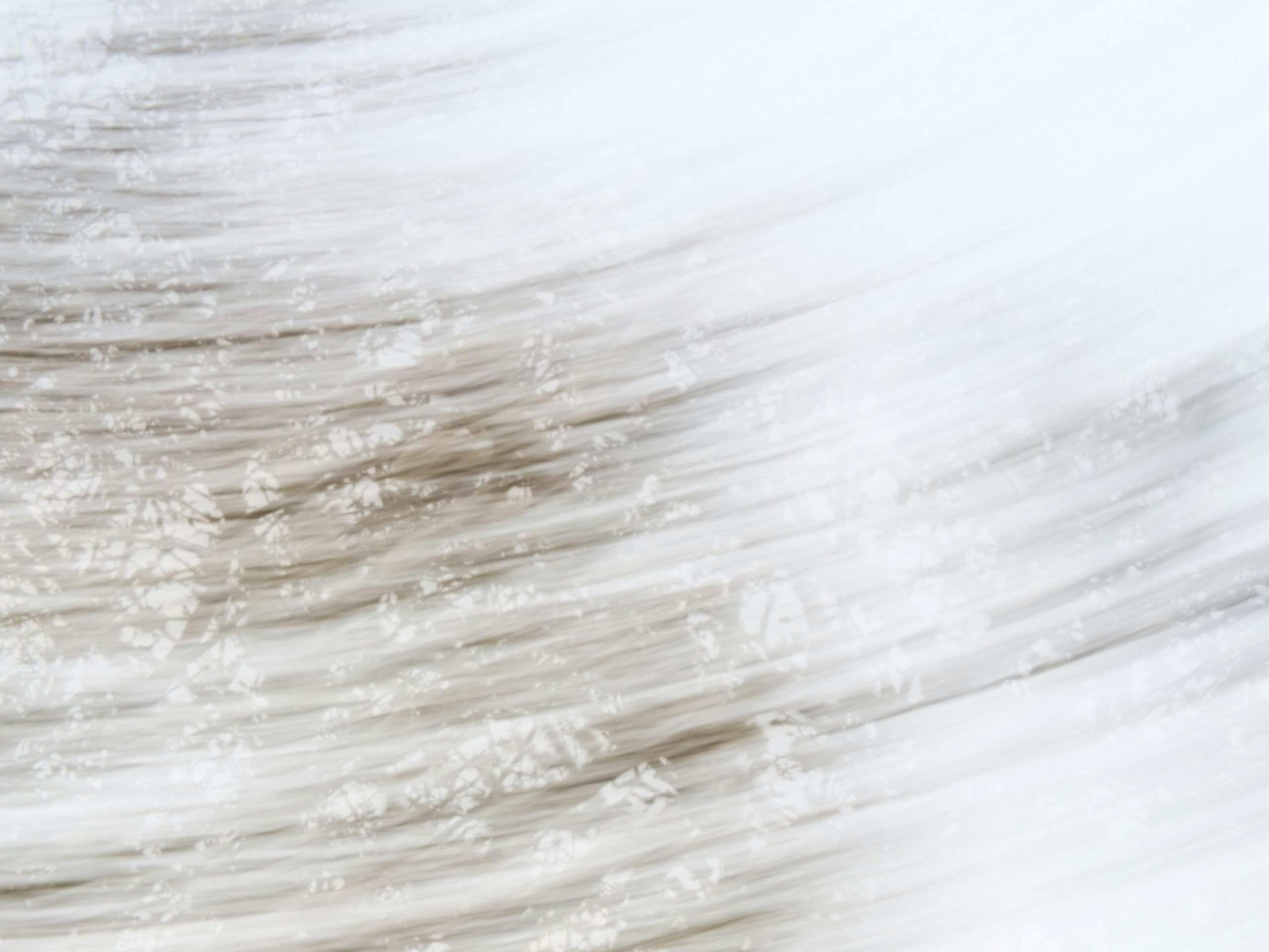 Abstraktisti kuvattu, "liikkuva" kuva, josta erottaa puun taivasta vasten.