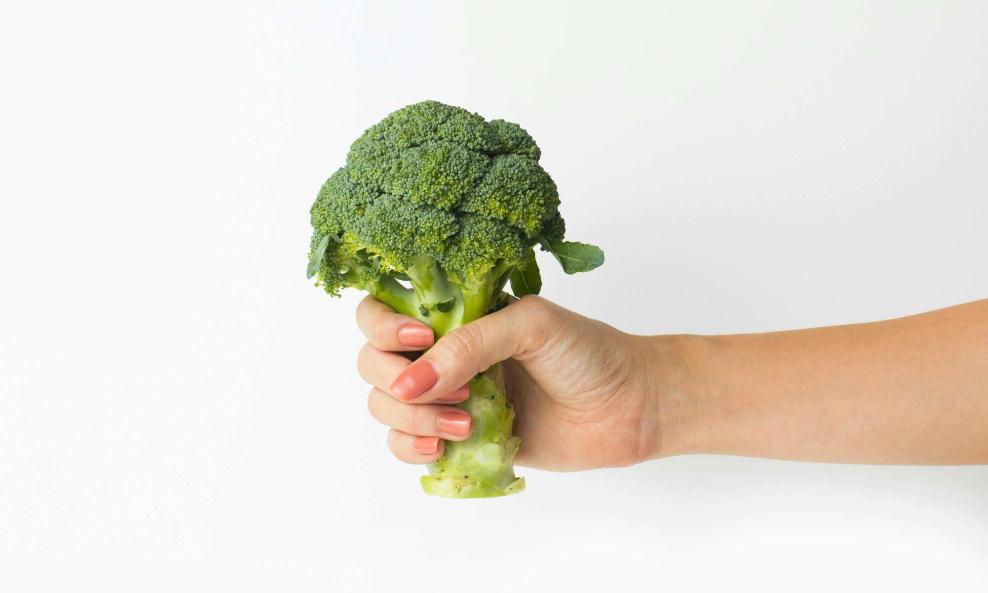 Kuvassa on käsi, joka pitelee parsakaalia valkealla taustalla.