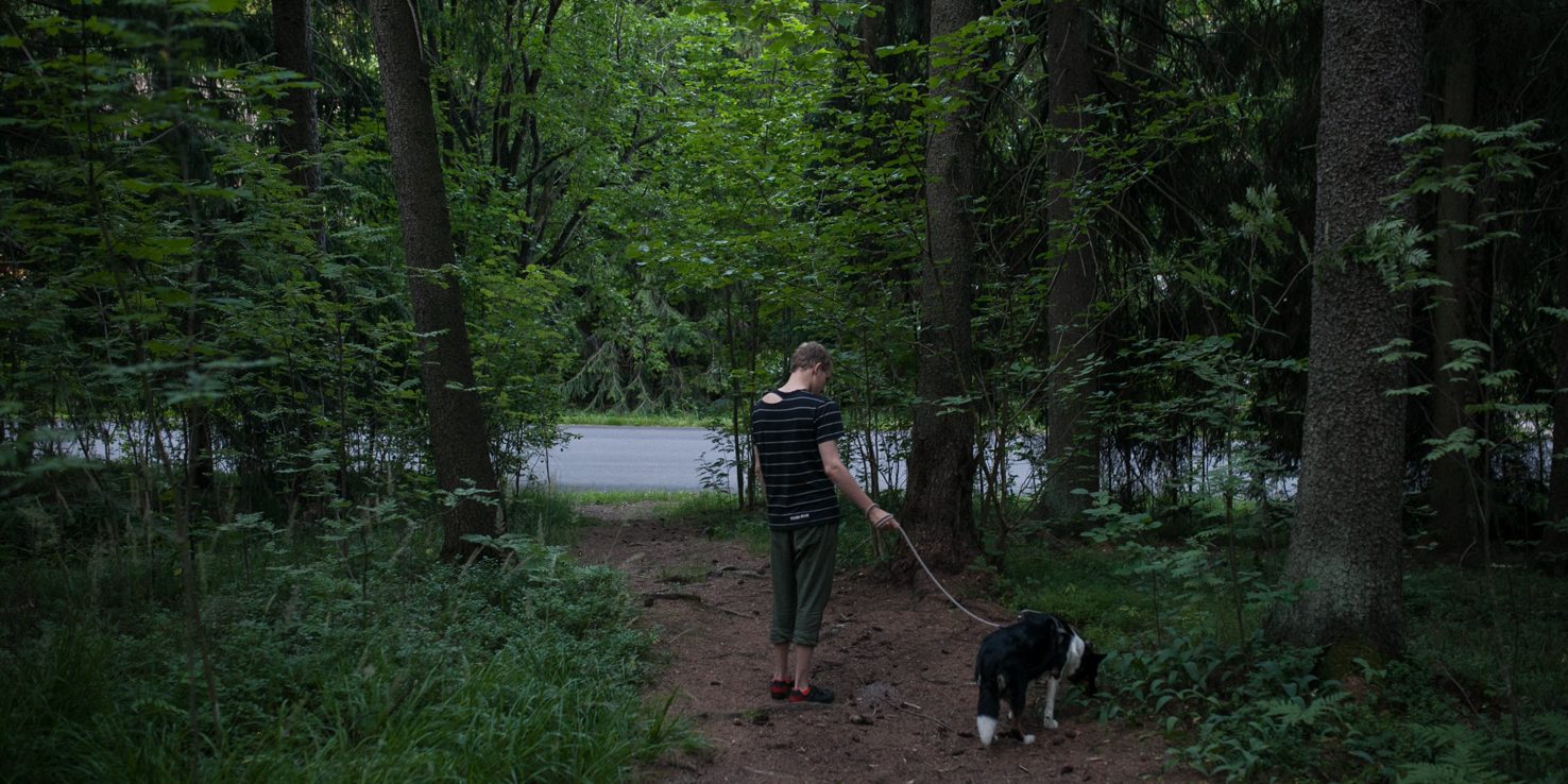 Mies ja koira kävelyllä metsässä