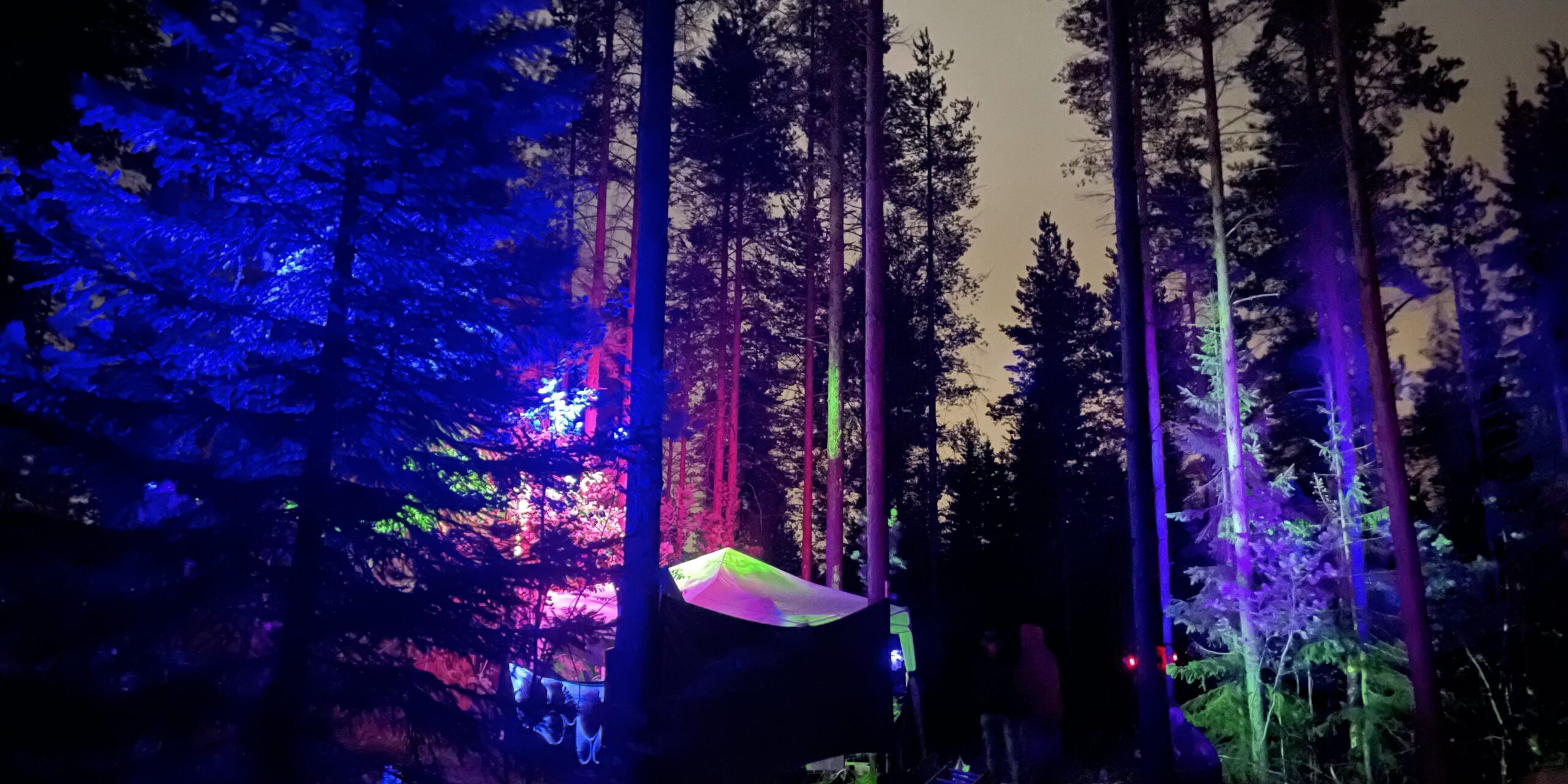 Neonväreillä valaistu öinen metsä.
